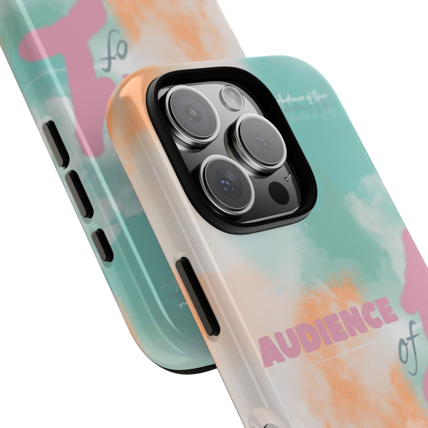 "Audience Of One" Case